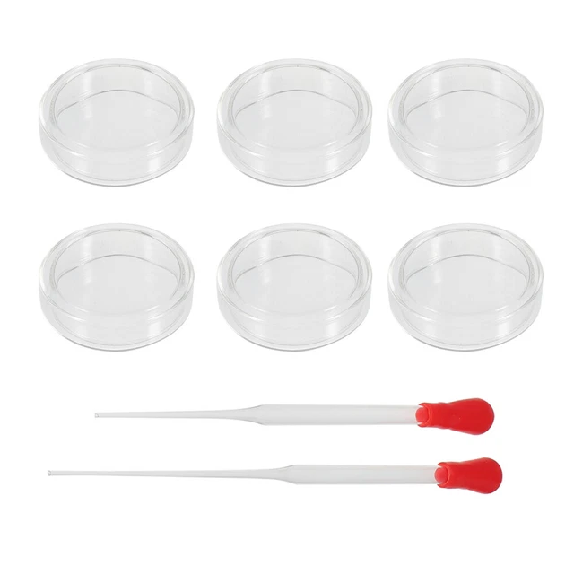 6pcs Transparent Petri Dish Laboratory Glass Pipette Glass Petri Dish
