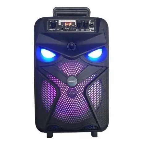 Cassa Bluetooth Altoparlante Speaker Usb Wifi 1000W Portatile Wireless