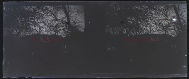 Crépuscule c1930 Photo NEGATIVE Plaque de verre Stereo Vintage V33L25n10