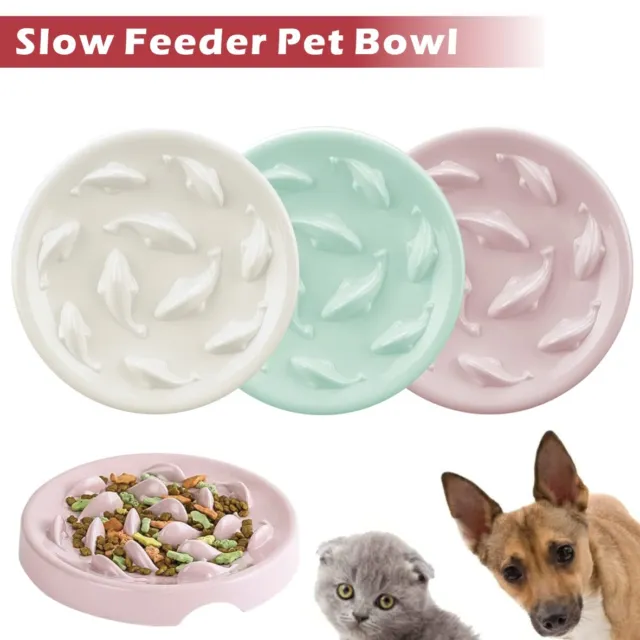 Slow Feeder Dog Bowl Anti Bloat No Gulp Puppy Pet Cat Interactive Feeding Bowl