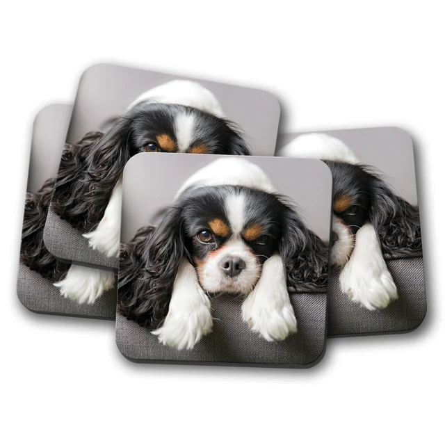 Sottobicchiere Con Simpatico Cavalier King Charles Spaniel: Regalo Per Amanti Dei Cani, 9.5 Cm, Finitura Lucida