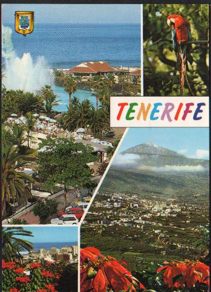 Postal Recuerdo De Tenerife Islas Canarias Postcard Postkarte            Cc02071