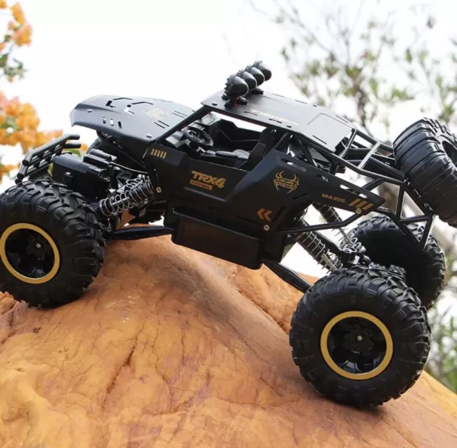 Macchina Telecomandata Professionale 4x4 1/18 Fuoristrada Auto RC alta velocità