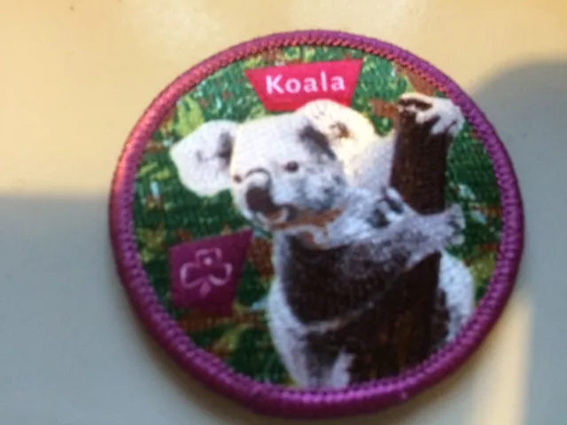 Girl Guides / Scouts Koala