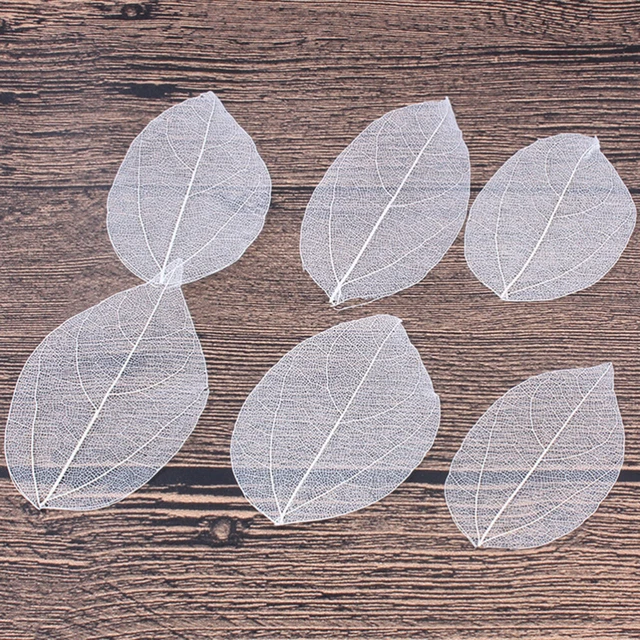 6 piezas Muestre de flores secas naturales hágalo usted mismo Materiales Marcador Tarjetas de felicitación Manual