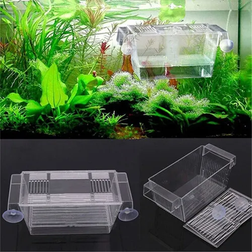 Rearing Trap Box Hot Fish-Tank Guppy-Hatchery Aquarium Double Breeding Breeder