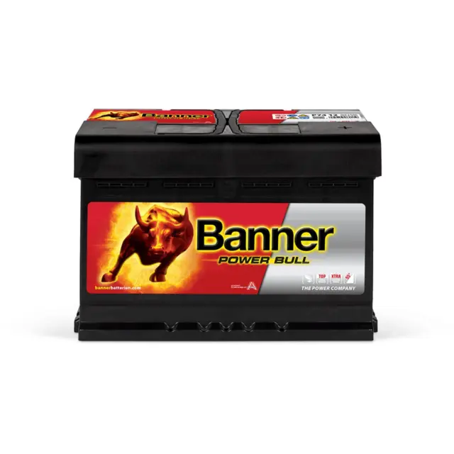 BANNER PRO P10040 Power Bull Professional Autobatterie Batterie 12V 100Ah 
