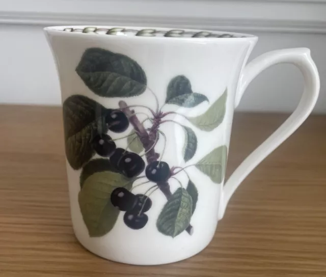 Queens RHS Hookers Fruit BLACKCURRANTS  Fine Bone China MUG