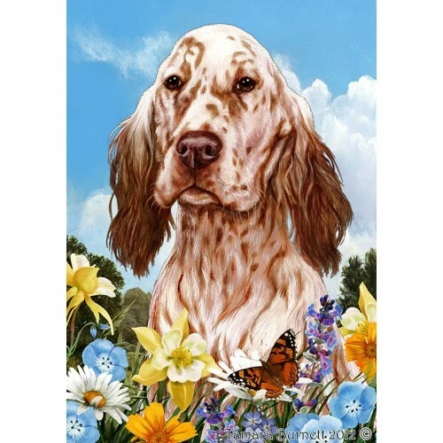 Summer Garden Flag - Orange Belton English Setter 181121