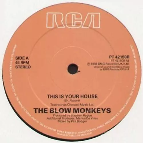 THE BLOW MONKEYS - This Is Your House - Rca - 1988 - UK - PT 42150