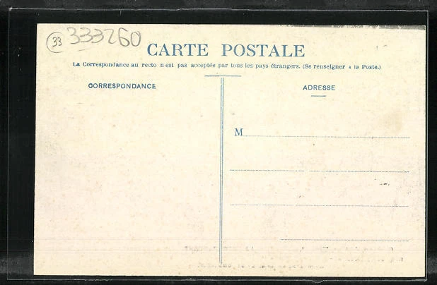 CPA Taussat-les-Bains, Avenue de la Gare et ses Ombrages 2