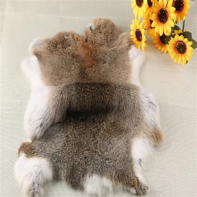 1x High Quality Yellow Tanned Real Rabbit Skin Pelt Animal Fur Hide Craft Grade 1x High Quality Yellow Tanned Real Rabbit Skin Pelt Animal Fur Hide Craft Grade