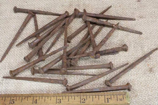 3” Old Button Rose Square 25 Nails Spikes Round Domed Head Rustic Vintage Rusty