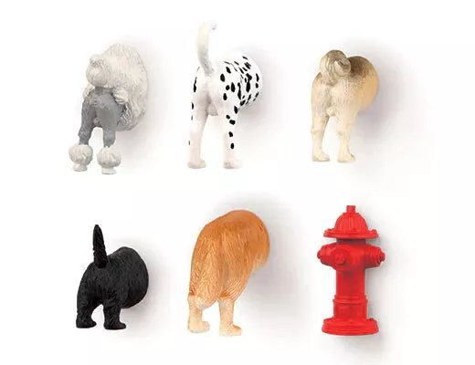 Kikkerland Dog Butt Refrigerator Magnets Set of 6 Novelty Gift Funny Dorm Decor
