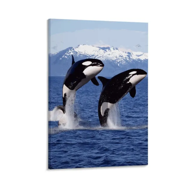 Killer Whale Canvas Poster Family Decor Landscaping Wall Art Art Print
