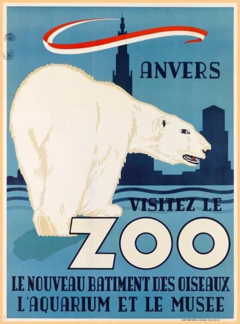 96985 Anvers Antwerp Zoo Belgium Polar Bear Travel Wall Print Poster Plakat