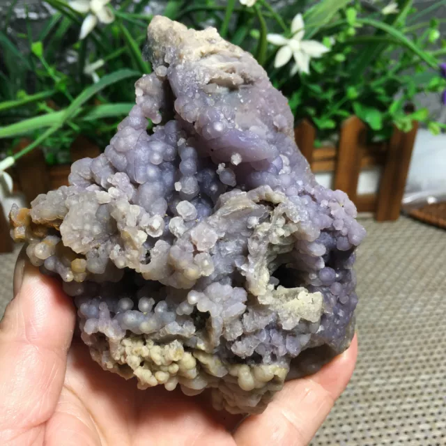 347g Natural Purple  chalcedony grape agate crystal specimen Indonesia mn1702