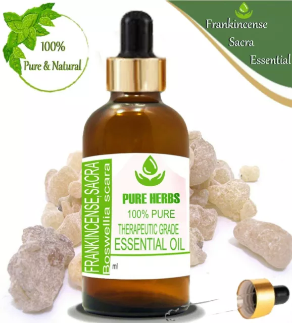Pure Herbs Encens Sacra 100% Naturel Boswellia Scarai Huile Essentielle