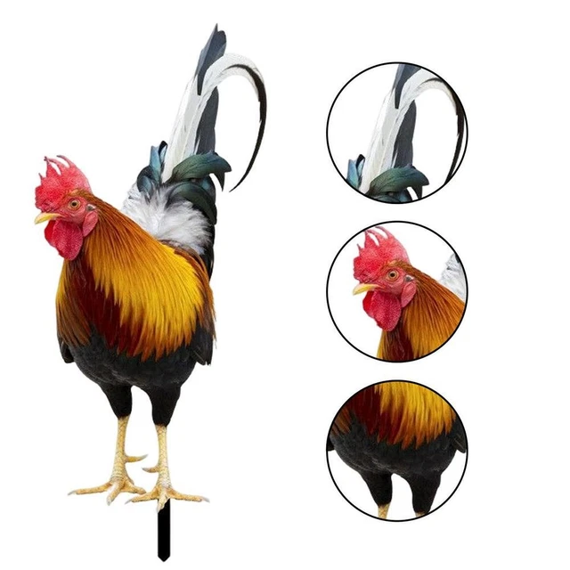 Rooster Chicken Statue Outdoor Garden Decoration Yard Art Figure Sculpture Decor