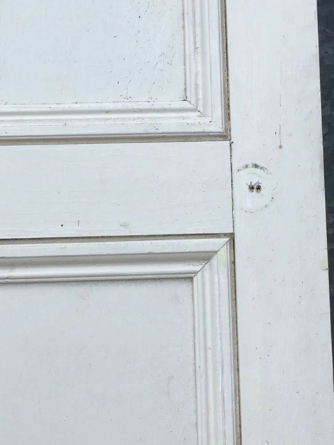 21”x50 7/8” Reclaimed Old Painted Pine Two Panel 1 Over 1 Short Internal Door 5