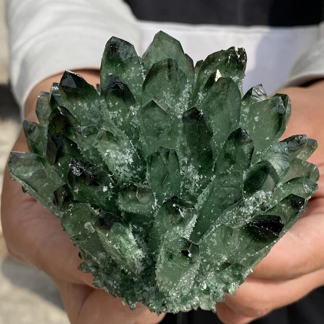 1.30LB New Find Green Phantom Quartz Crystal Cluster Mineral Specimen Healing 4