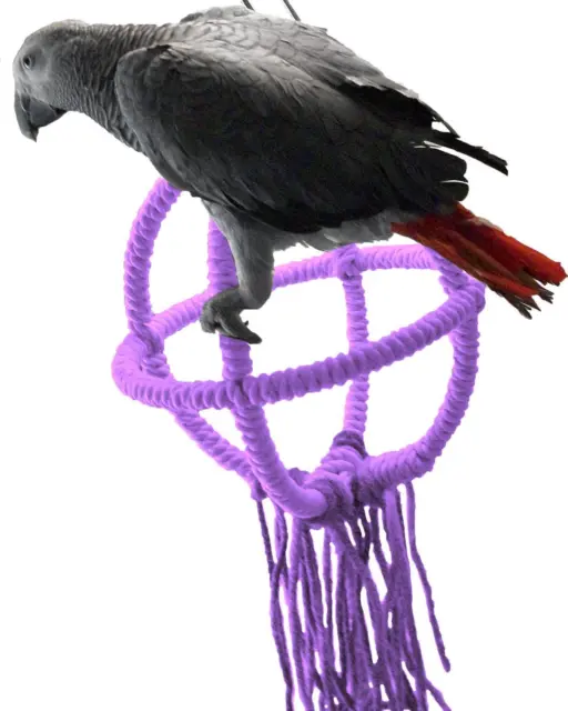 Medium Purple Parrot Orbit Swing Toys Perches