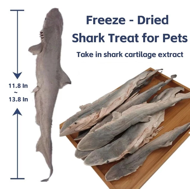 Salsicce Per Cani Billo's Schlemmer - Senza Glutine, 6 Rotoli Con Carne Di Cavallo, Manzo, Anatra, Agnello E Capra