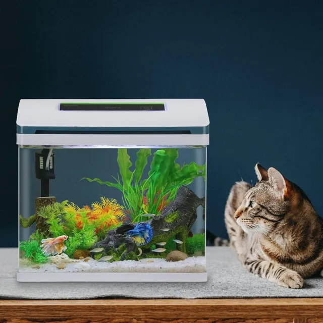 Betta Fish Tank Glass 5 Gallon Self Cleaning Small Aquarium Starter Kits Desktop 5