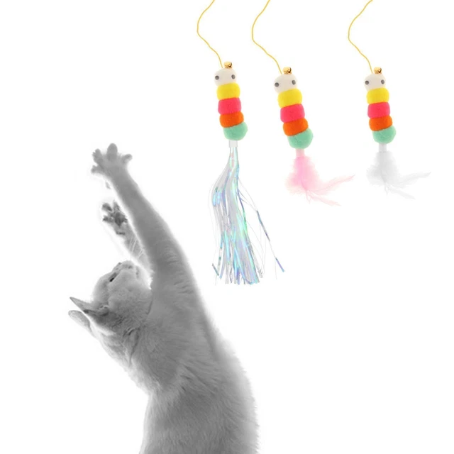 Jouet Teaser pour chat, jouet suspendu, attrape-chat, pour chaton, chats