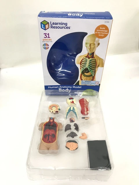 Un coffret Montessori pour tout savoir sur le corps humain - Papa positive