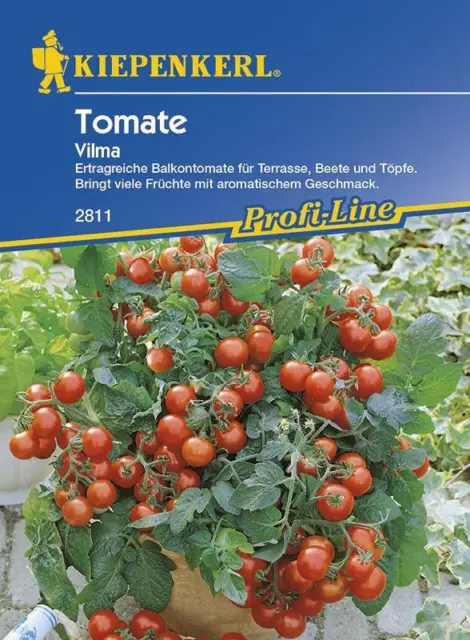 Tomaten Balkontomate Vilma rot