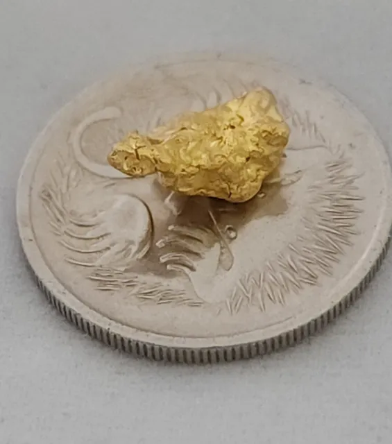 Natural Gold Nugget. Natural Sparkles, Rare Shape.