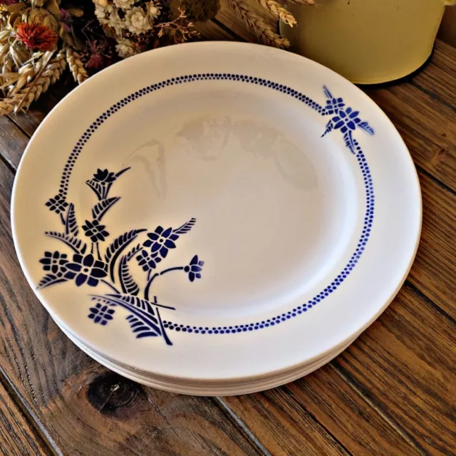 Assiettes plates Saint Amandinoise Saint Amand fleurs bleues (Lot de 5)