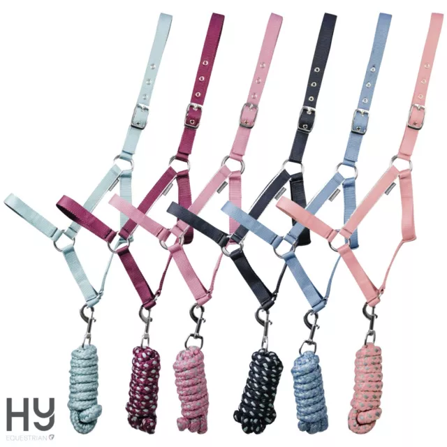 Synergy Head Collar & Lead Rope  by Hy Equestrian – Silver Hardware – Adjustable