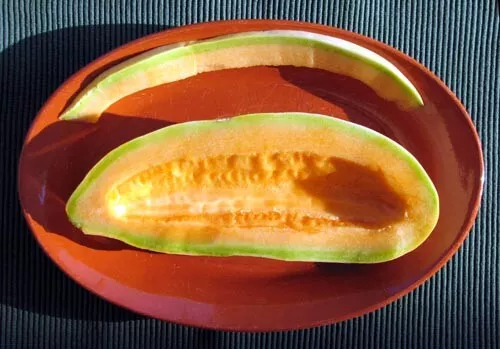 RARE 10 graines MELON BANANE DES USA(Cucumis melo BANANA)N60 BANANA MELON SEEDS