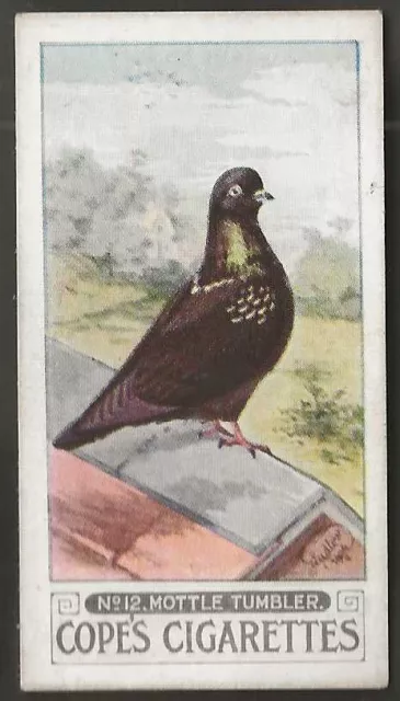 Cope Copes-Pigeons 1926-#12- Clean Legged Black Mottle