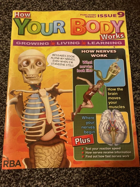 HOW YOUR BODY works, Issue 9. Magazine Only. £0.50 - PicClick UK