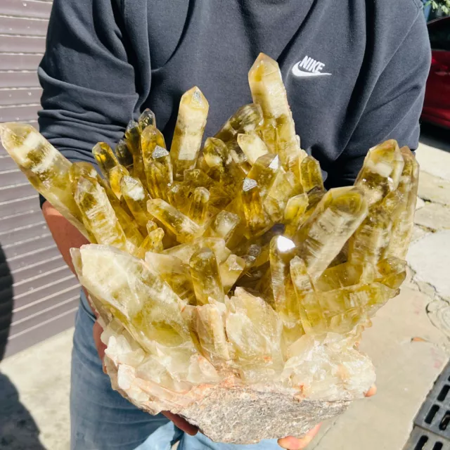 49.85LB natural citrine crystal quartz cluster mineral specimen healing DF954