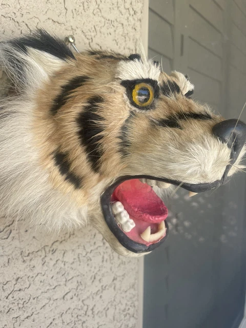 Tiger Taxidermy Reproduction Head Mount
