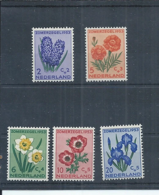 Netherlands stamps.  1953 Flowers MH SG 764 - 768 CV £35   (AJ587)