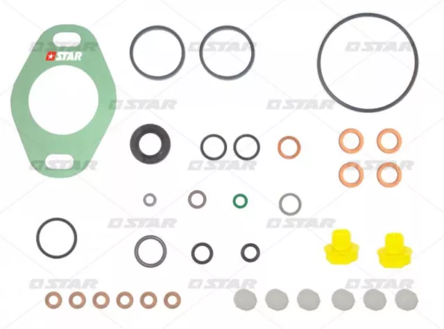 Dichtungssatz Einspritzpumpe VA  RVI 797 Oldtimer Schlepper Vgl. 1 467 010 036