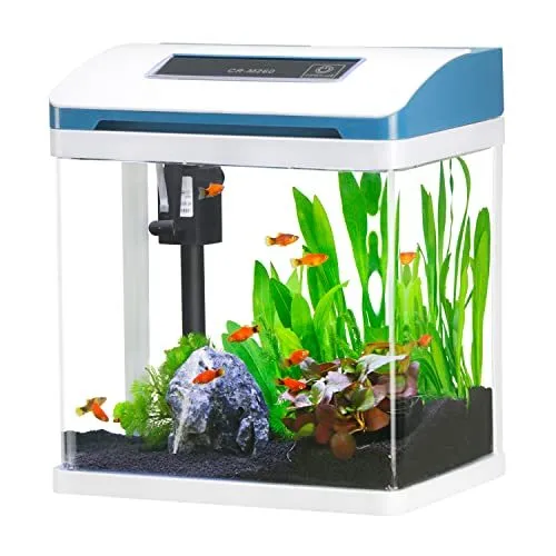 Small Fish Tank 2 Gallon Glass Aquarium Starter Kits Self Cleaning w/Colorful