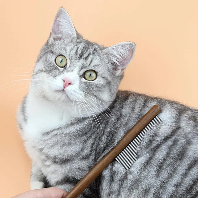 Peines de belleza de pelo largo para mascotas gatos nudos de piel mango de madera perros pelo largo