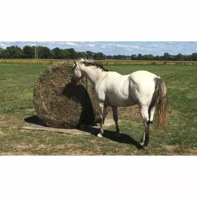 6' foot x 6' foot Black ROUND BALE HAY NET w/ 2 1/2" x 2 1/2" Openings Horse