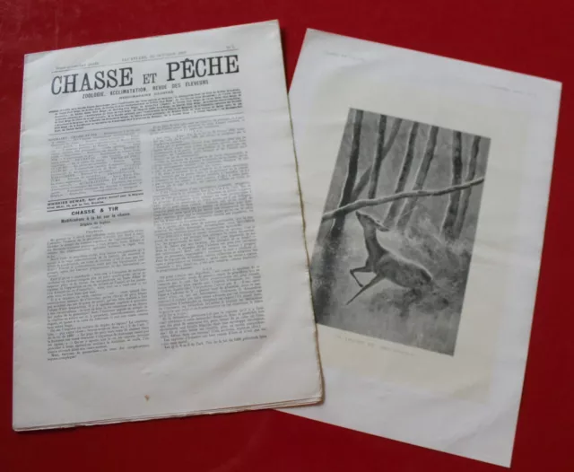 Chasse & Pêche - Zoologie, Acclimatation, Éleveurs - N°5 de 1905 et sa Gravure