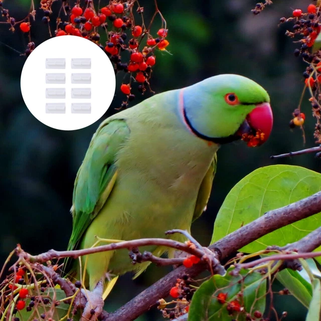 Alimentador de agua para pájaros bebedor en jaula de palomas 8 piezas