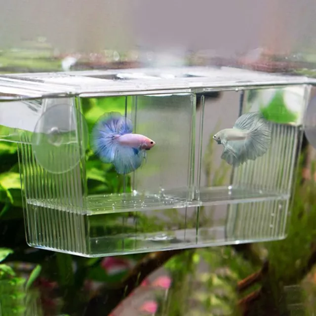 Aquarium Fish Tank Breeder Double Incubator Fish Breeding Isolation Box 3