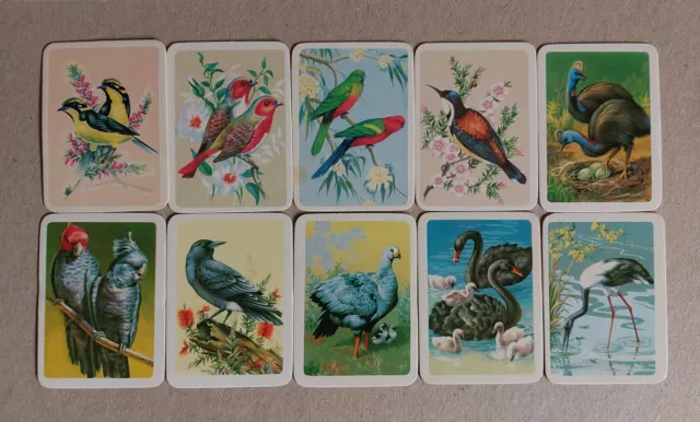 Tuckfields Tea Australiana Bird Studies Cards Series 1 Large Medallion/font RARE