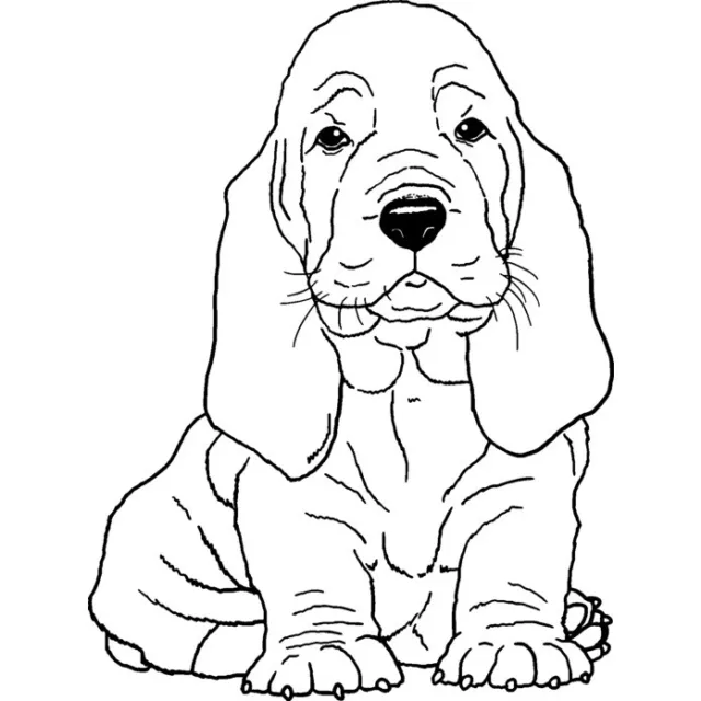 'Cachorro Basset Hound' Sello de Goma (Desmontado) (RS028377)