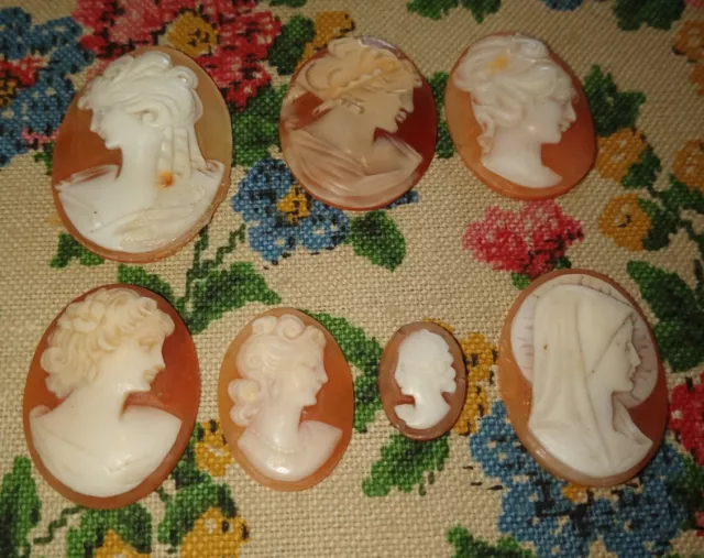 7 Camées Anciens Coquille Profil Femme Antique Lot Old Shell Cameo 1900-1940